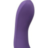 Вибратор WE-VIBE RAVE фиолетовый SNRASG4